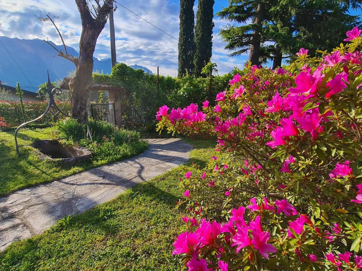 Appartamenti Casa La Rosa Bellagio Zewnętrze zdjęcie